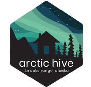 Arctic Hive: Yoga, Backcountry Ski, Dog Mushing, Northern Lights Retreats in Wiseman Alaska | Brooks Range